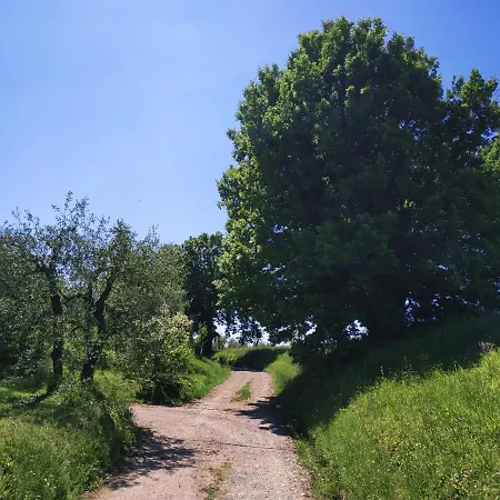 Oda ve Kahvaltı La Casetta Montecarlo