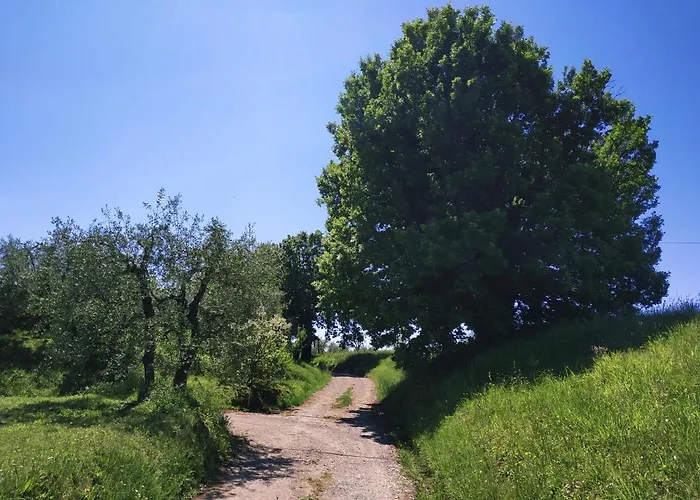 Bed & Breakfast La Casetta Montecarlo