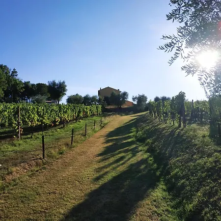La Casetta Bed & Breakfast